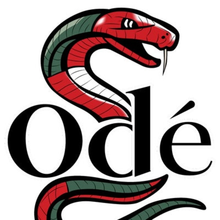 Cover image for Right of Return Brand Creation