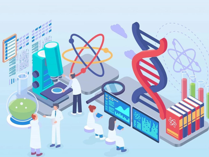 Cover image for Writing research and reports