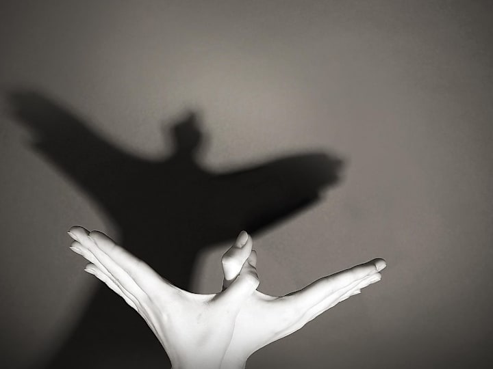 Cover image for THE SILENT SHADOWS