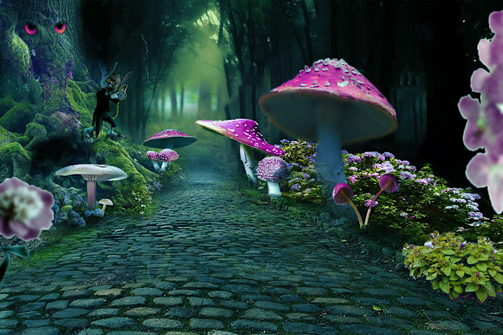 Cover image for Forest | Behance