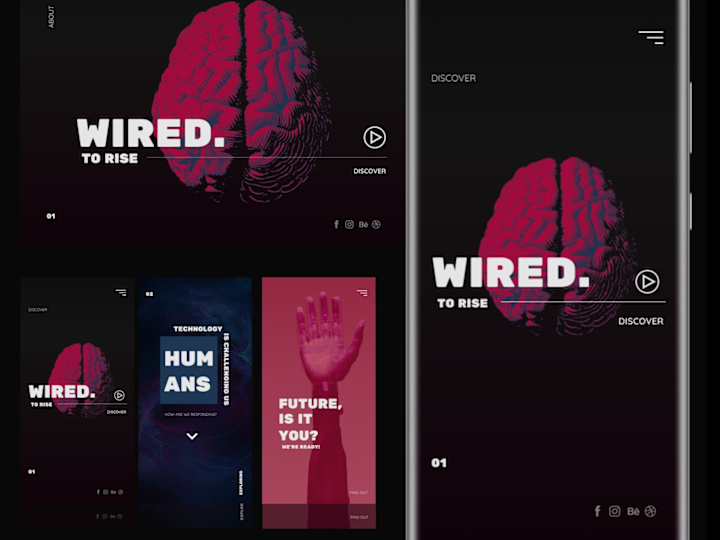 Cover image for Wired to Rise