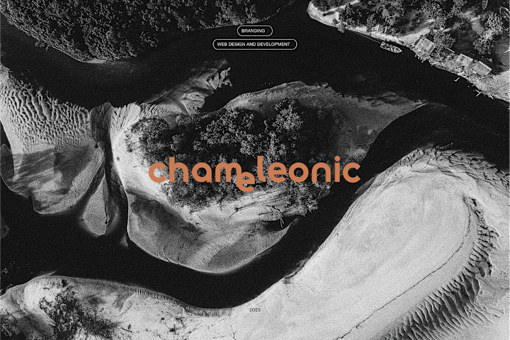 Cover image for Chameleonic | Branding & Web Design