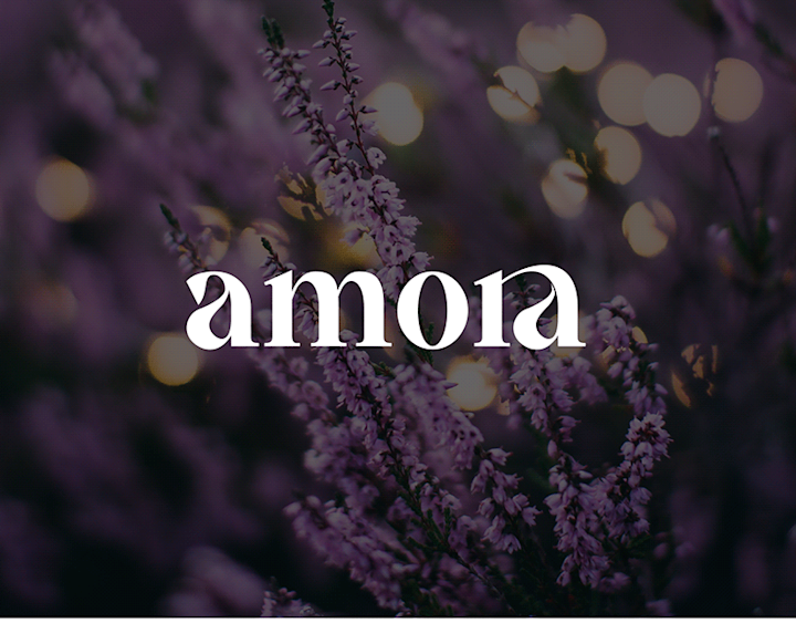 Cover image for amora | Logo Design