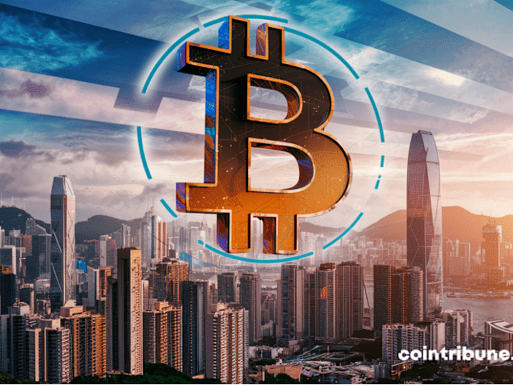 Cover image for CRYPTO CURRENCY YouTube SCRIPTS