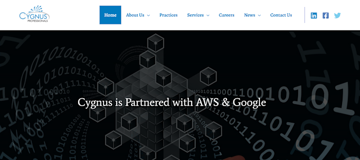 Cover image for Cygnuspro Business website