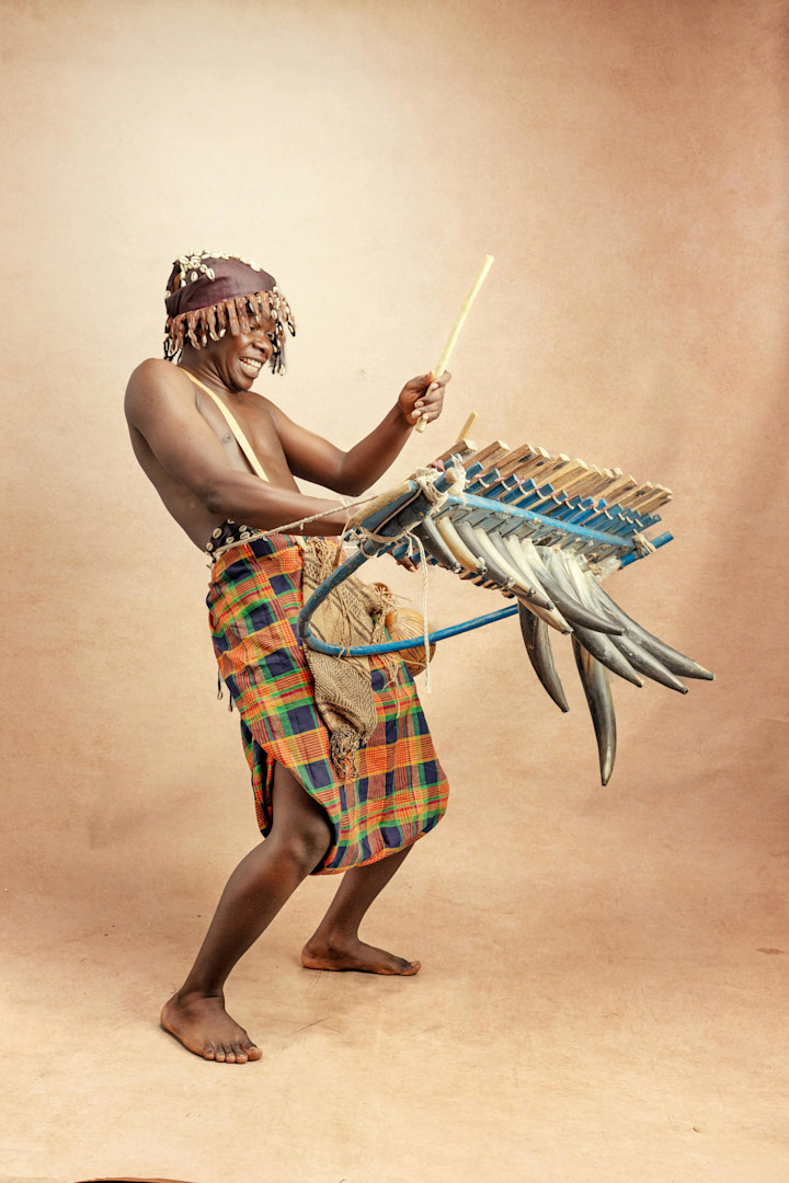 Cover image for The Evolution of Music in Africa