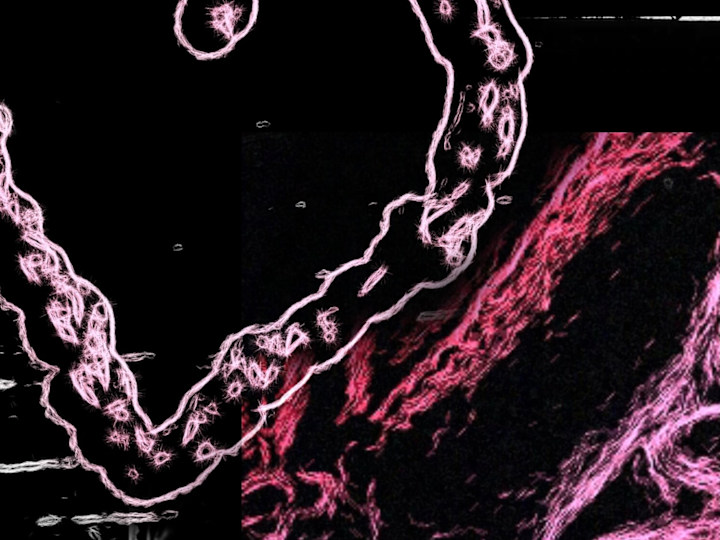 Cover image for +//- project