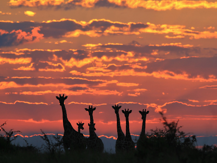 Cover image for Social Media Management for @headed_to_africa