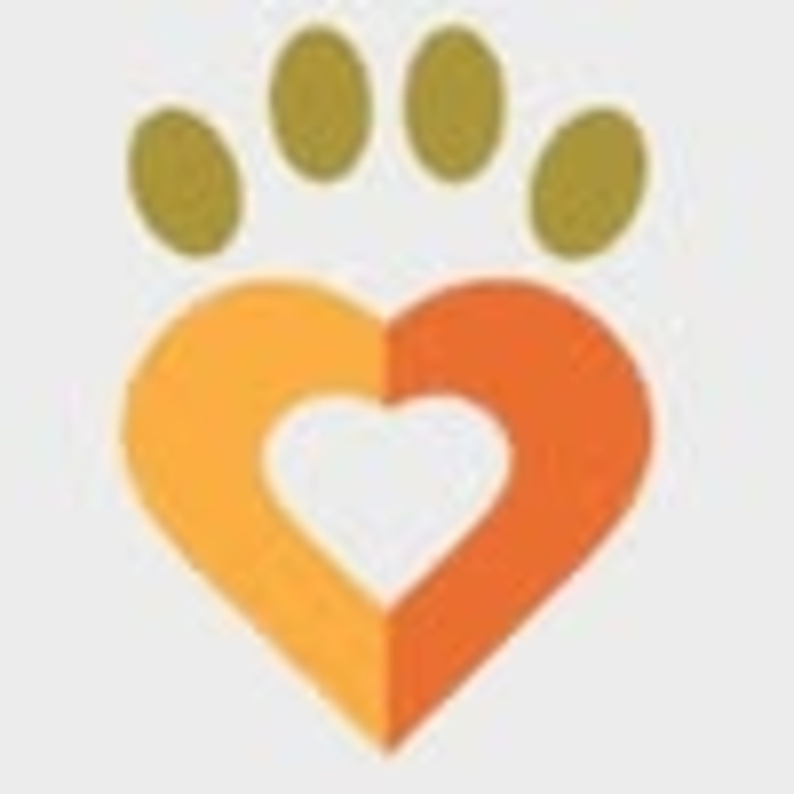 Cover image for Dharamsala Animal Rescue 