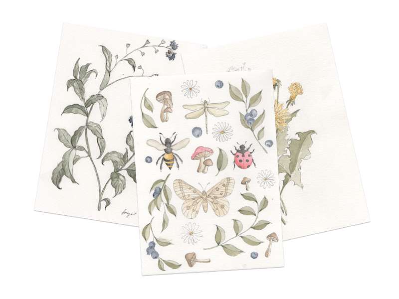 Cover image for illustrations