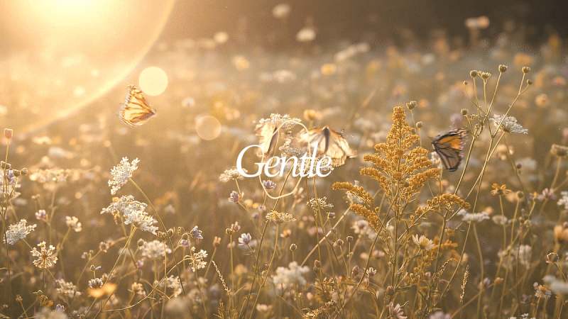 Cover image for AURELIA