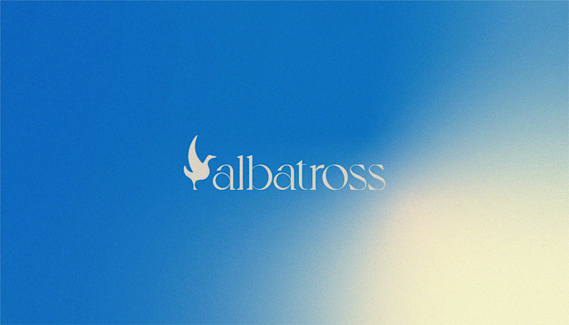 Cover image for Albatross Care Visual Identity