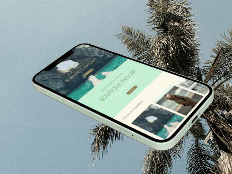Cover image for The Palms Resort Brand + Web