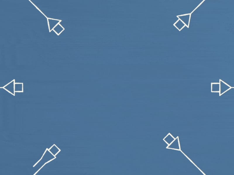 Cover image for Director & Animation