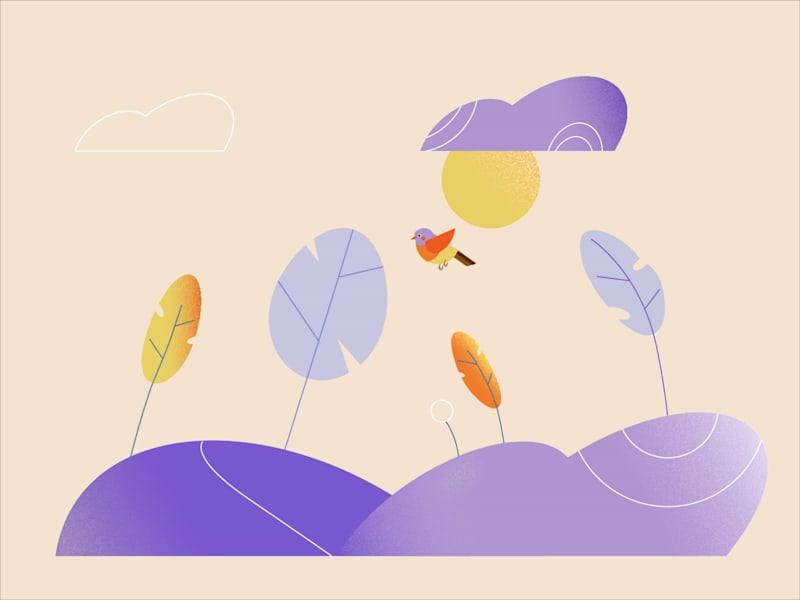 Cover image for Sunrise