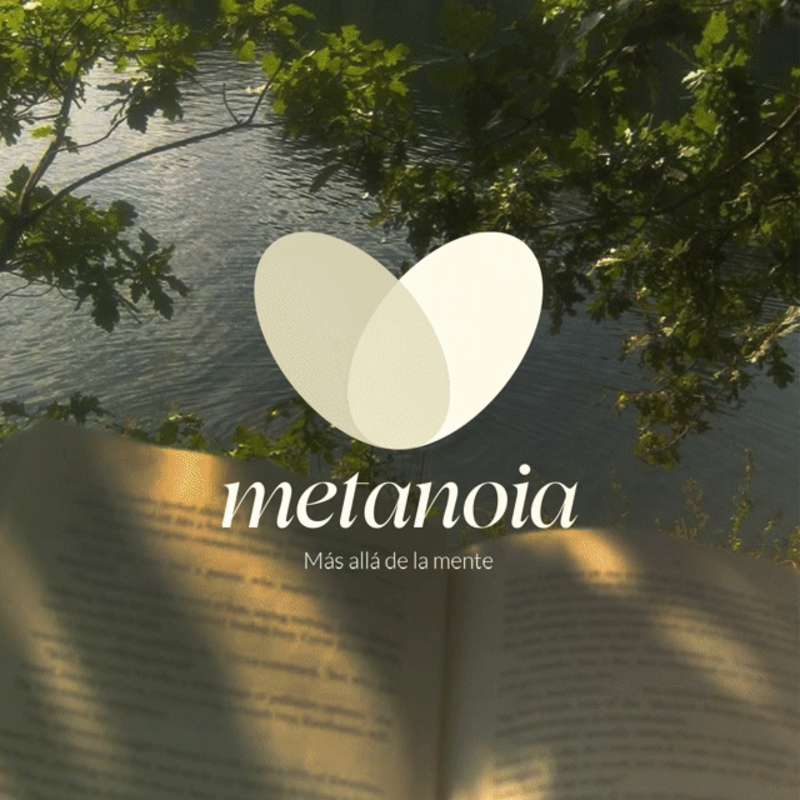 Cover image for Branding and visual identity for Metanoia - Wellness