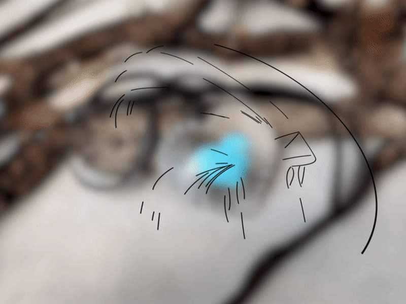 Cover image for Chisholm Trail Designs 