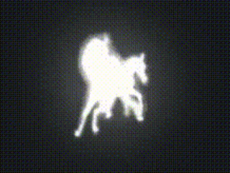 Cover image for SARINASNYDER.COM