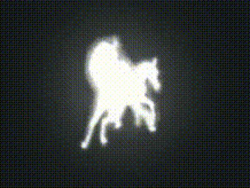 Cover image for SARINASNYDER.COM