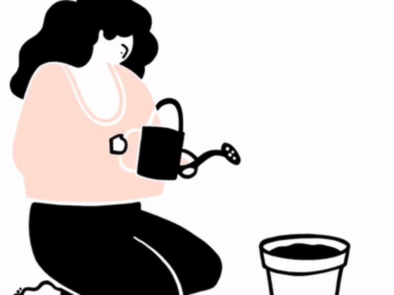 Cover image for Animations on Moments