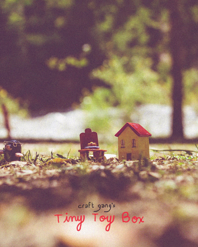 Cover image for Craft Gang's Tiny Toy Box | Social Media Campaign 