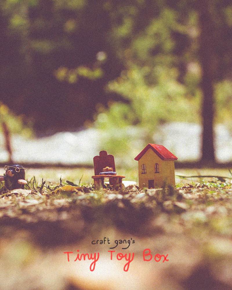 Cover image for Craft Gang's Tiny Toy Box | Social Media Campaign 