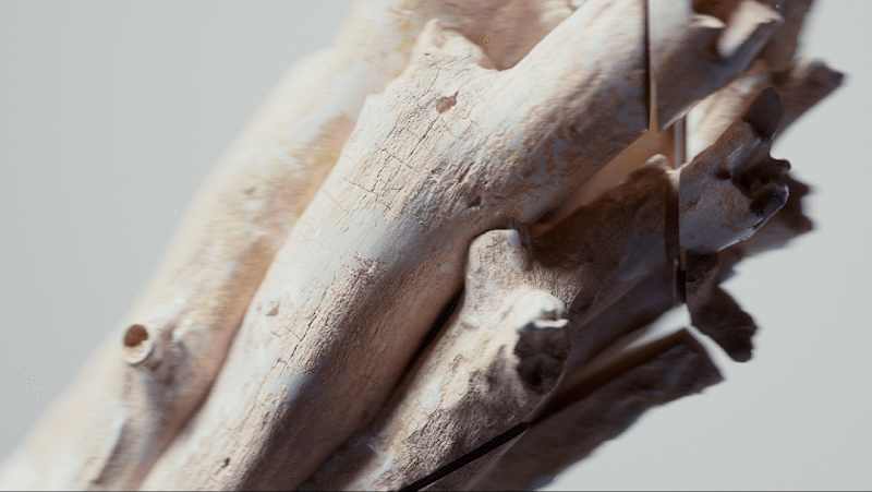 Cover image for Straight From the Oak