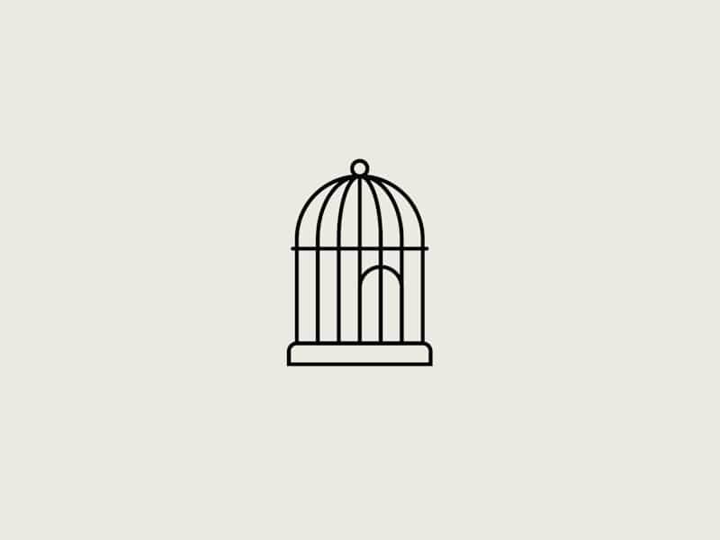 Cover image for Free as a Bird - Concept 02