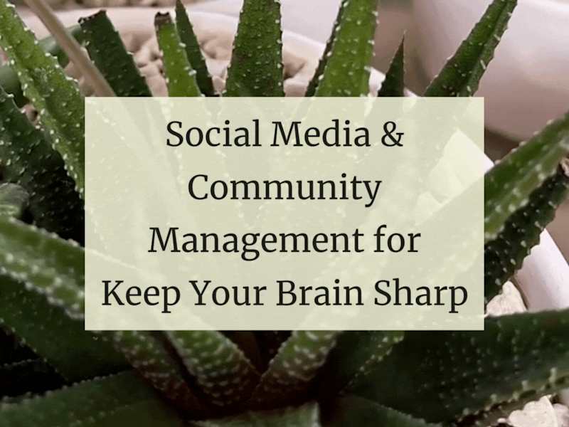 Cover image for Social Media & Community Manager @ Keep Your Brain Sharp