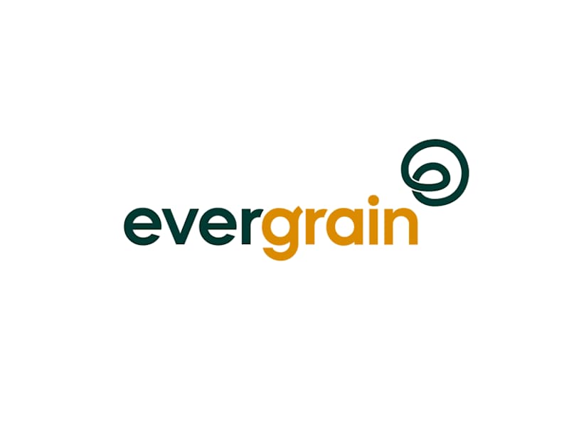 Cover image for Brand marks and logos