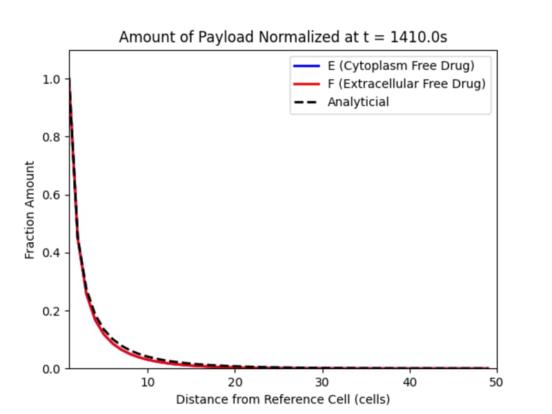 Cover image for Computational Model of Drug Dispersion in Tumors