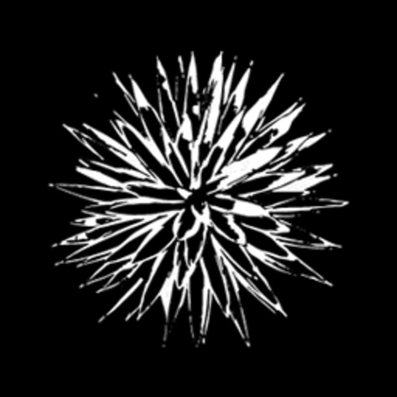 Cover image for Aquimero Studio Branding and product design