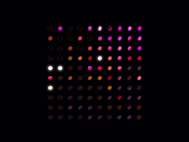 Cover image for Order
