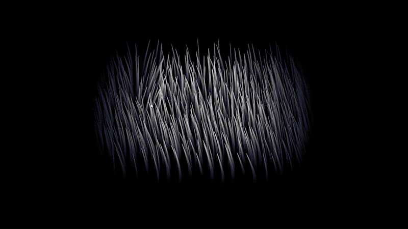 Cover image for Animated grass