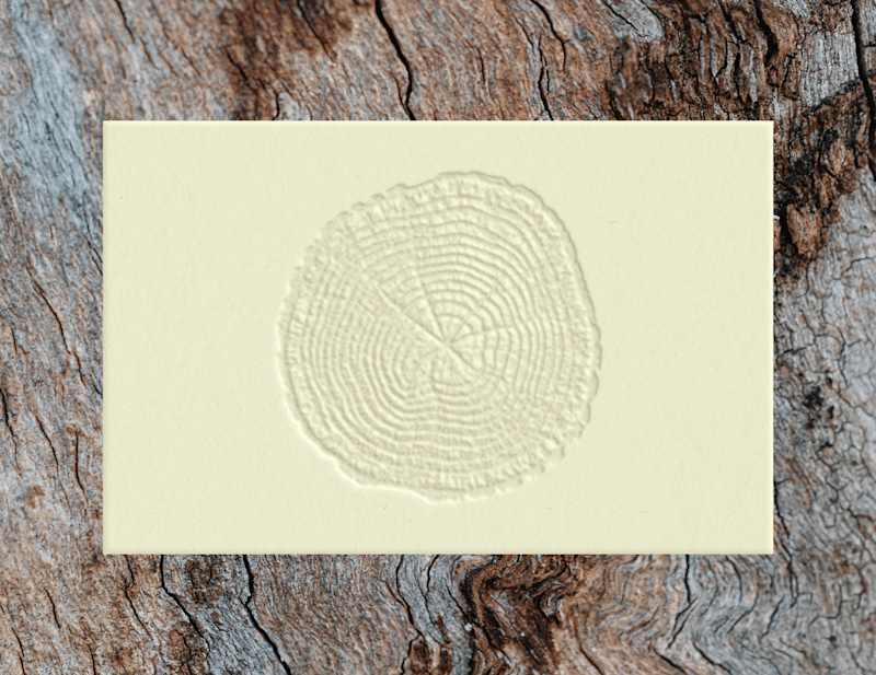 Cover image for Atelier Nine / Branding / Logo design / Visual identity