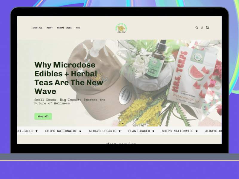 Cover image for Shopify Store Build for Wellness Brand