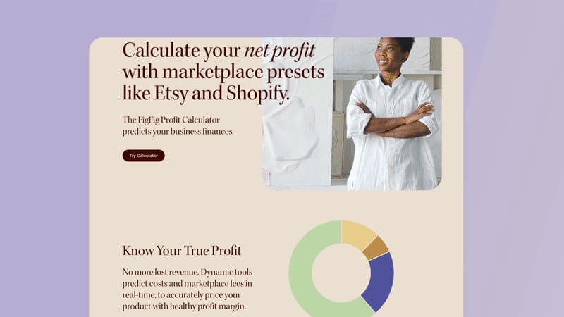 Cover image for Design and Development of FigFig Financial Dashboard