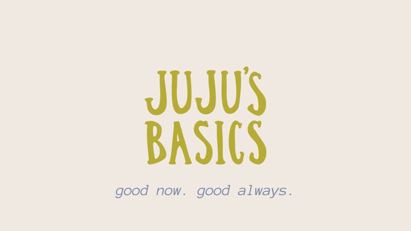 Cover image for Juju's Basics