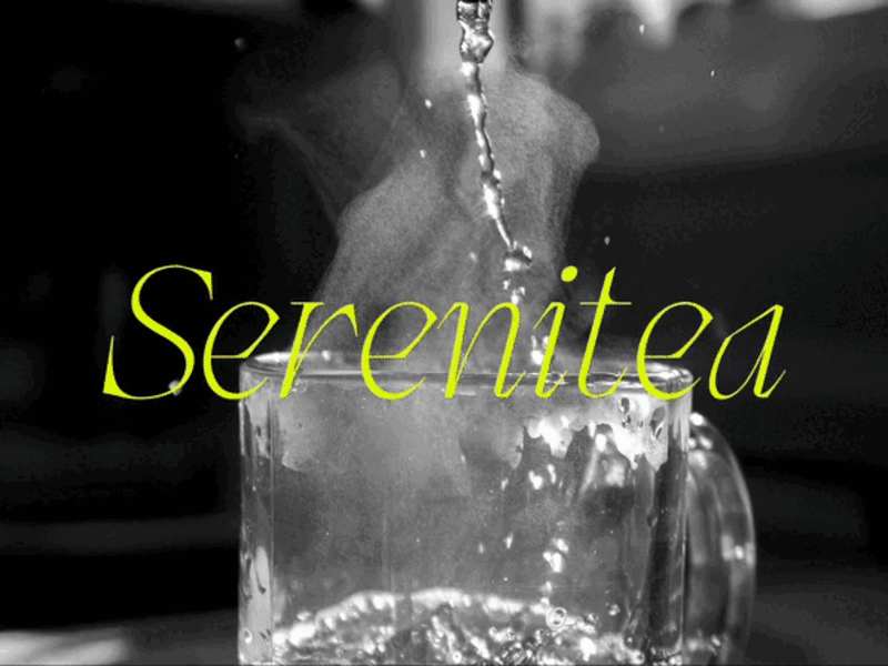 Cover image for 🍵Serenitea Branding + Packaging