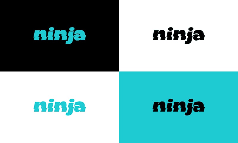 Cover image for Ninja App - Branding