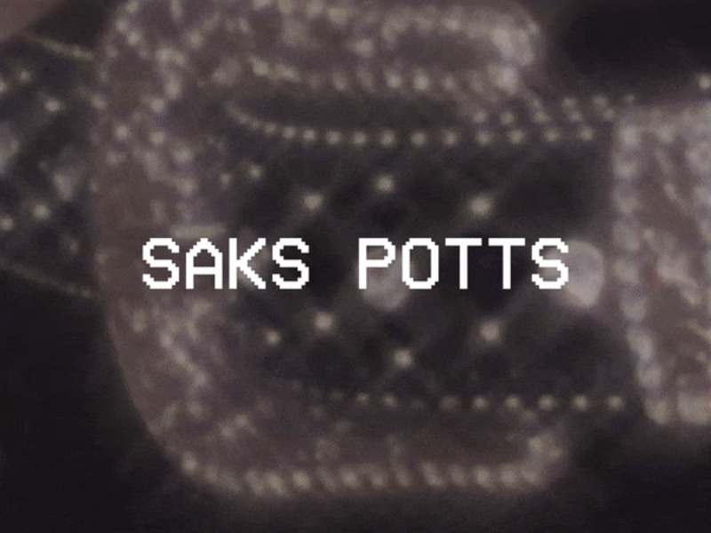 Cover image for SAKS POTTS