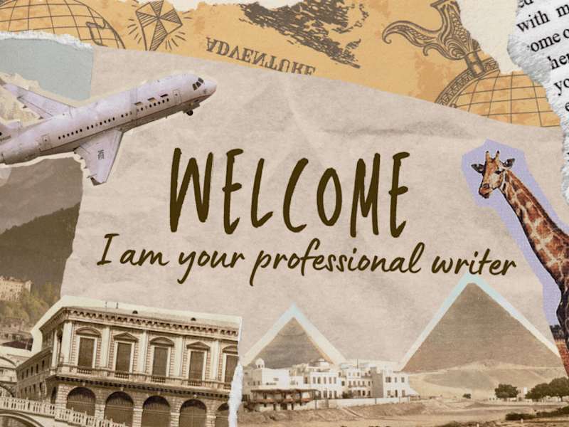 Cover image for Writer