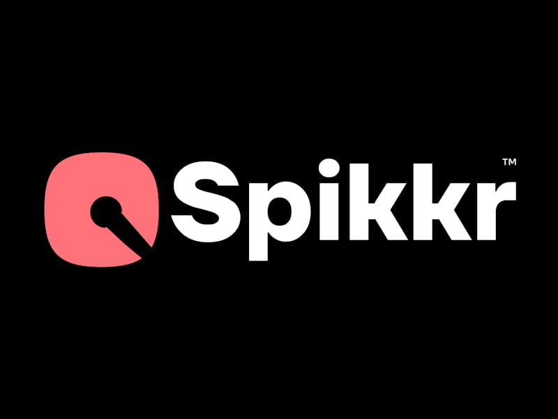 Cover image for Brand Identity Design for Spikkr