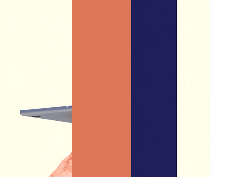Cover image for Learning Management System for Professionals