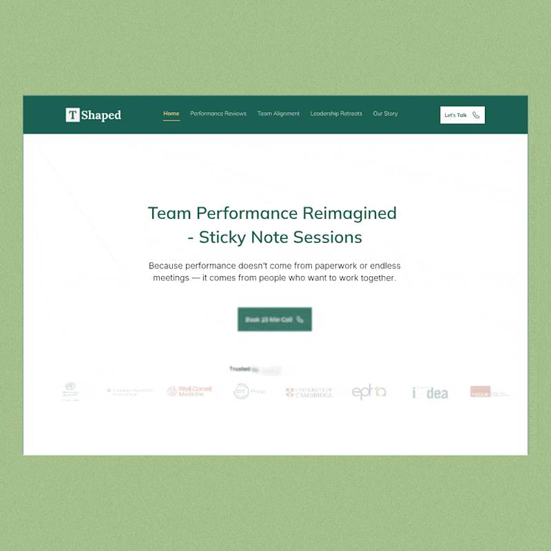Cover image for T Shaped Reshaped Website