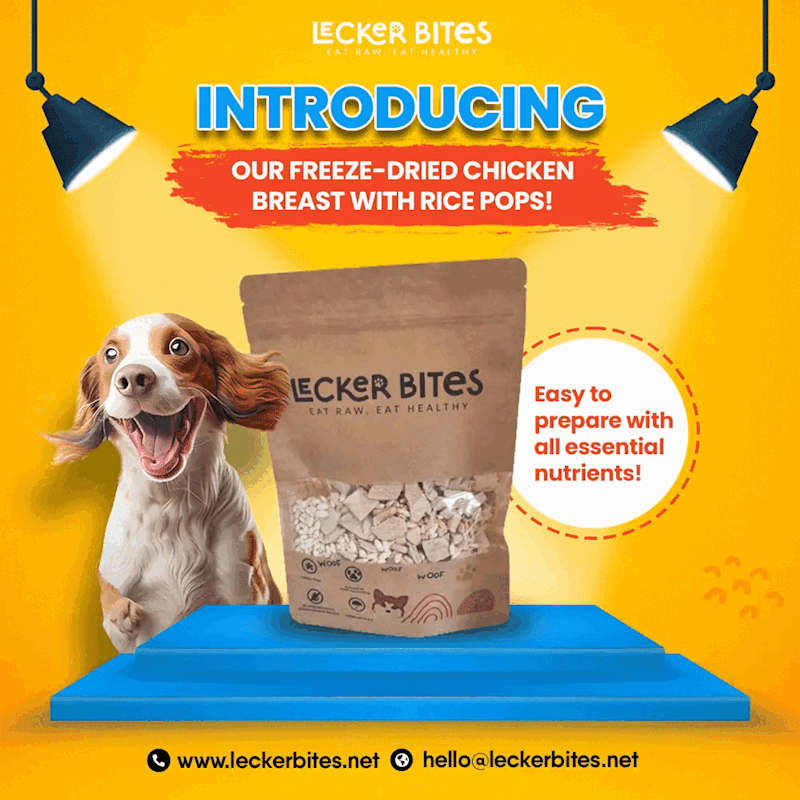 Cover image for Google Ads eCommerce Growth Strategy