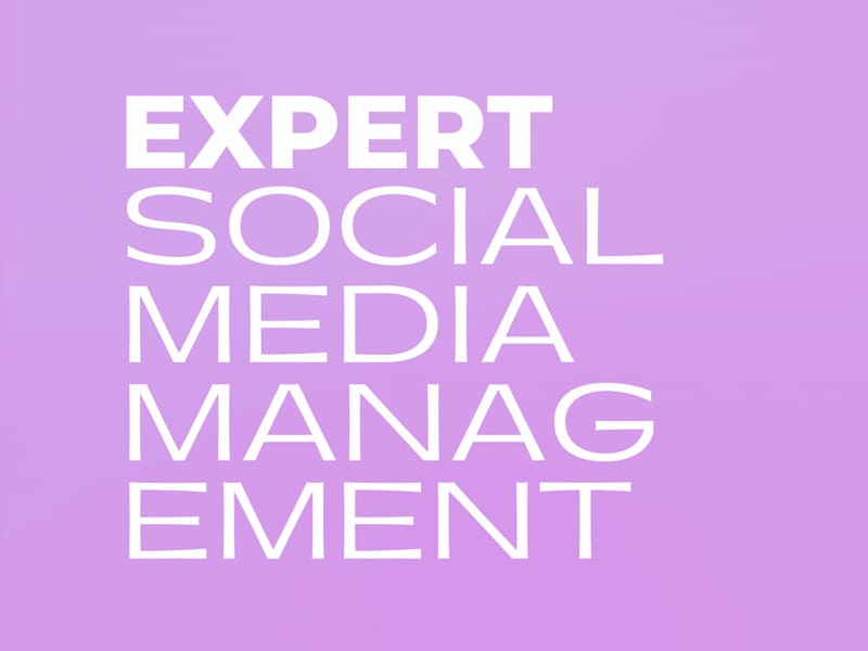 Cover image for Cheetah Ridge Lodge / Social Media Management & Content Creation