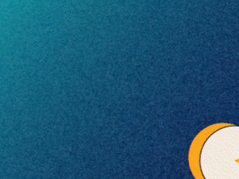 Cover image for A Wise Graphic