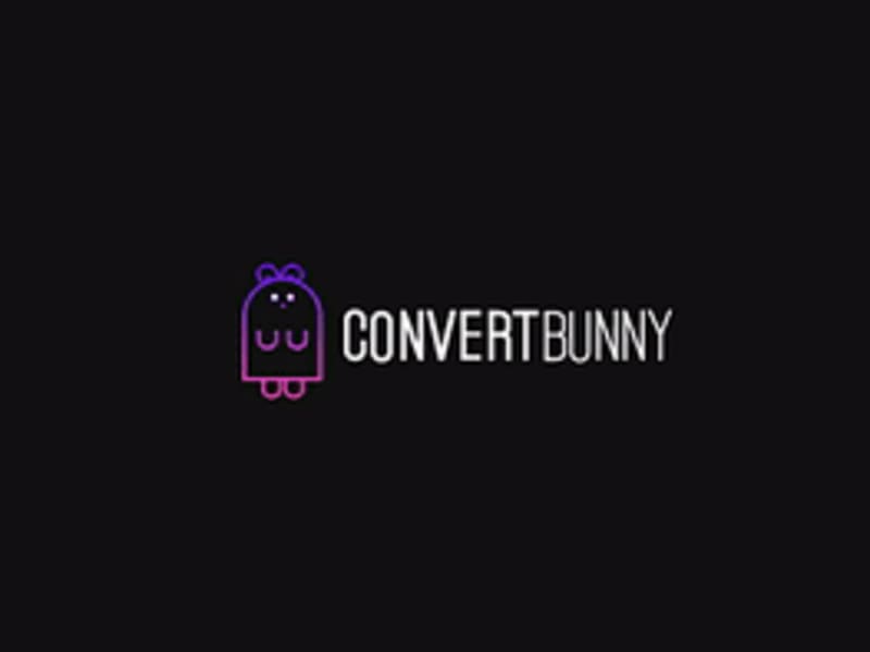 Cover image for 
Assistant Growth Manager, ConvertBunny