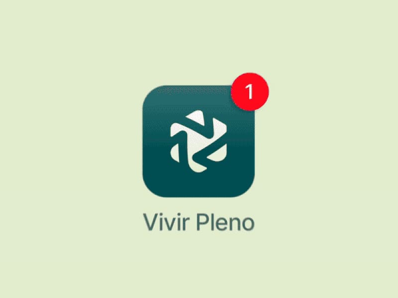Cover image for Visual Identity Portfolio